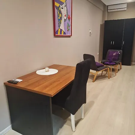 Vilin Guest house